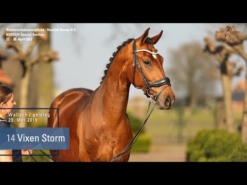 Special Auction Reesink Horses  Lot 14 Vixen Storm Wallach v. Valverde - Dancier