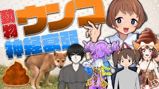 正しいペアを予想せよ！動物ウンコ神経衰弱！【コラボ配信】