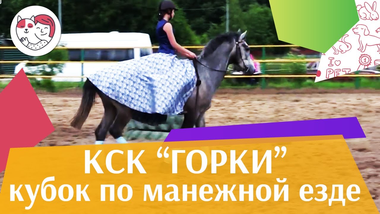 Летний кубок КСК Горки по манежной езде КЮР часть 32 на ilikepet
