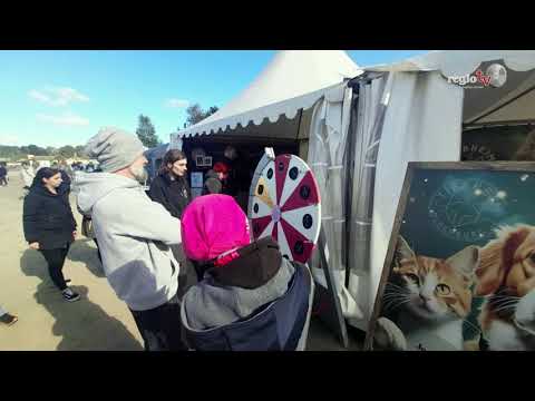 Rund um den Hund - Messe in Rastede