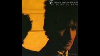 Tav Falco - The World we knew