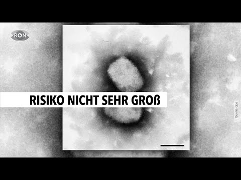 Ärztliche Einschätzung des Affenpocken-Virus | RON TV |