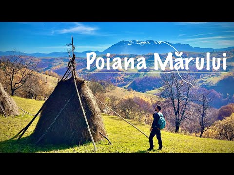 🇷🇴 Descoperă Poiana Mărului în Peisaje de Toamnă 🍂 