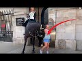 It seemed like she enjoyed having the horse nudge her