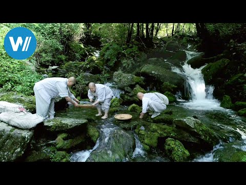 Südkoreas magische Tempelküche (360° - GEO Reportage)