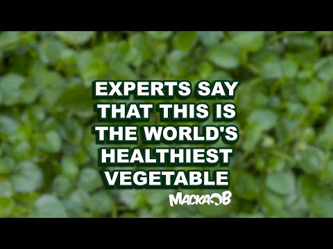 Macka B's Wha Me Eat Wednesdays 'Experts Say This Is The World's Healthiest Vegetable'