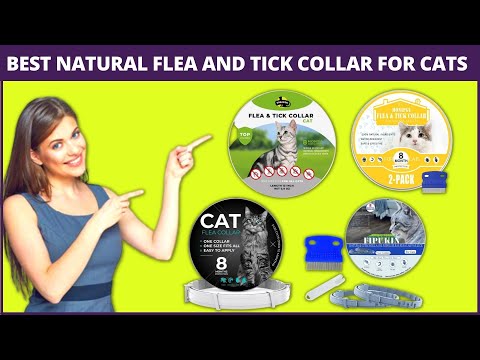 7 Best Natural Flea And Tick Collar For Cats - Incredibly Effective Repellent