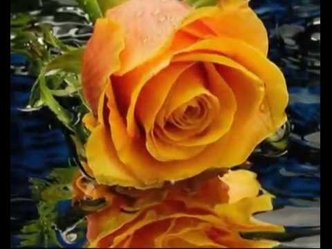 Hamid Askari - Vase Ine (Fikret Peldek Remix) 2012