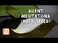 Silent Meditations (20 min) | 4 intervals
