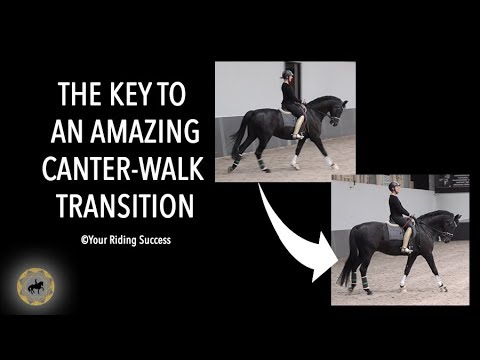 THE KEY TO AN AMAZING CANTER-WALK TRANSITION - Dressage Mastery TV Episode 239