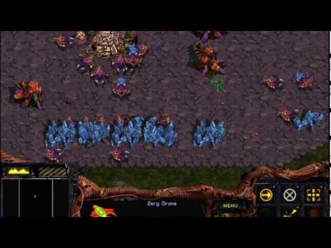 StarCraft. Zerg Mission 10: Full circle