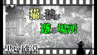 10月8日の拠点戦!