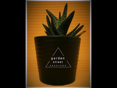 Otpisanimator -  Ringišpil ( garden street sessions )