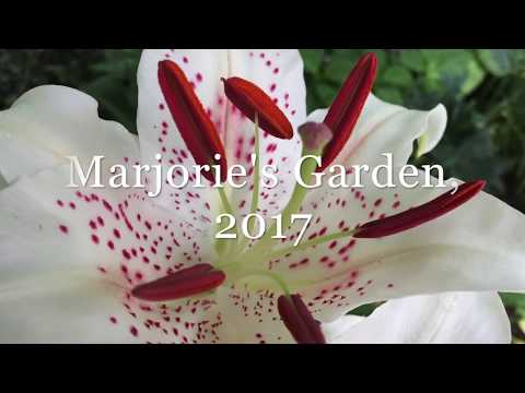 Trugnala Rumjana, arranged by Cary Ratcliff