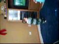 Dancing To Spongebob Music Video