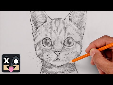 How To Draw a Cat | Sketch Tutorial