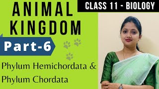 Animal Kingdom Class 11 Biology | Hemichordata | Chordata | Part-6