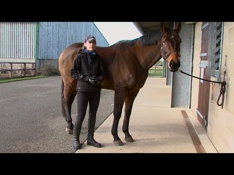 Slide 4 - Diamond Flex Wrap Red 4"  (video)