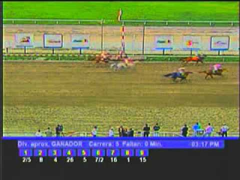 Resumen Domingo, 08 de Agosto de 2010 - La Rinconada