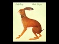 Vashti Bunyan - Hidden