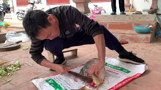 Download lagu Siêu Đầu Bếp Lọc Cá Chép mp3