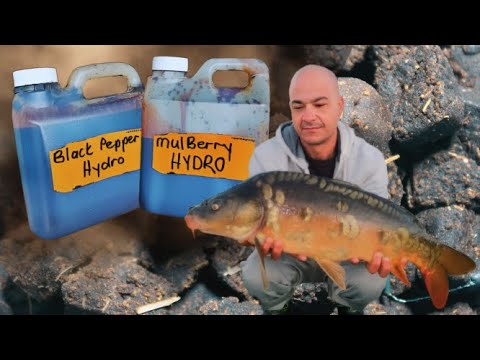 Black Pepper and Mulberry Hydro Fruitz , Home Made Soluble Boilies and Hook Baits