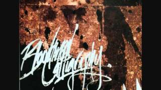 Bloodllined Calligraphy - Saturday Night In Dixie