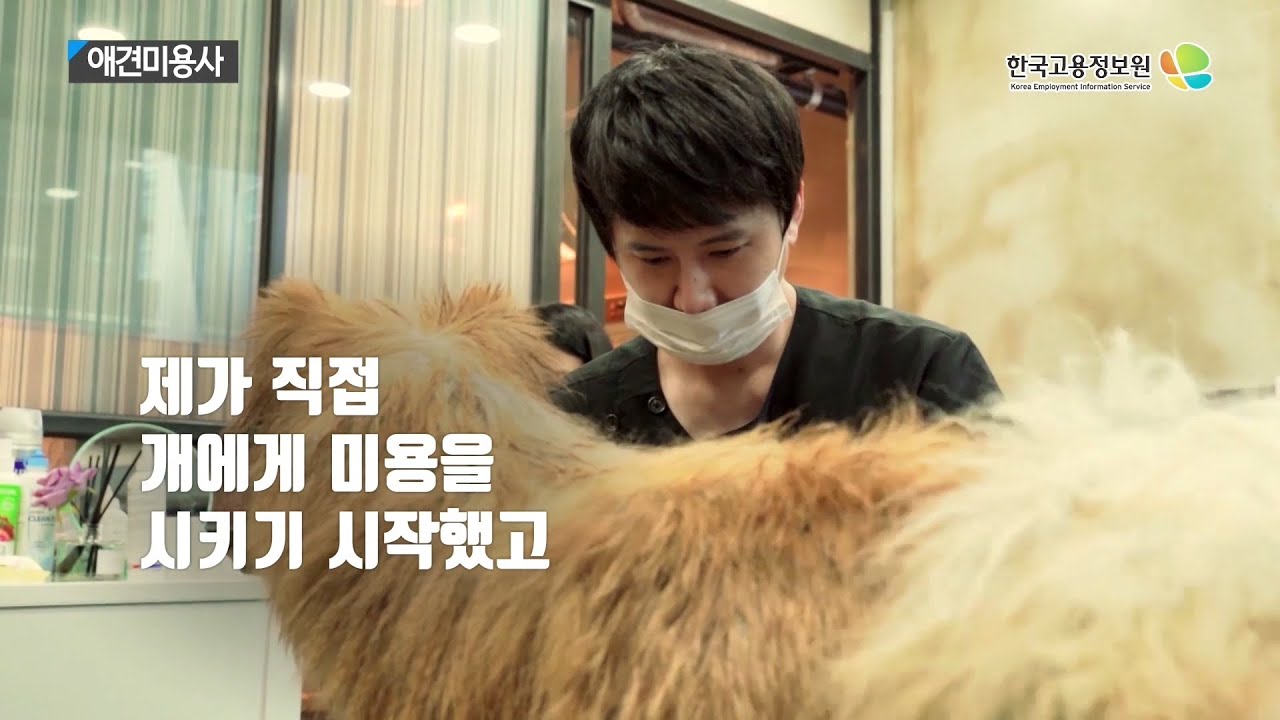 2020내일을JOB아라 - 애견미용사