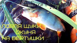 Где клюет щука в удмуртии