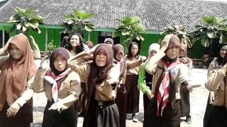 preview picture of video 'Kehebohan Pramuka SMA Prima Kotabumi Joget Pinguin'