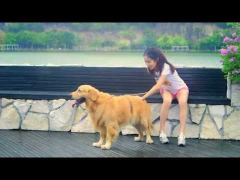 双威·悦馨苑 Sunway Tianjin