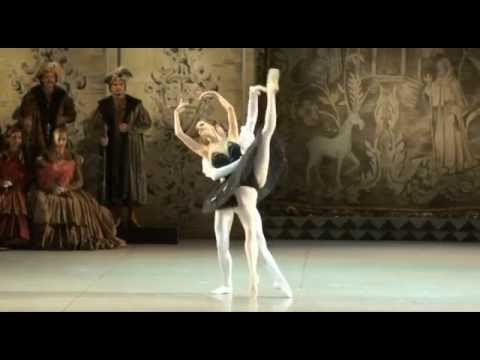 Magnificent Black Swan - Borchenko & Lebedev