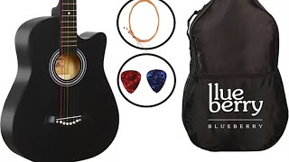 Blueberry B D-38 guitar unboxing and review// Cheap price// Under Rs 3000// Dual truss rod available