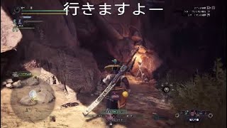 モンハンRTA