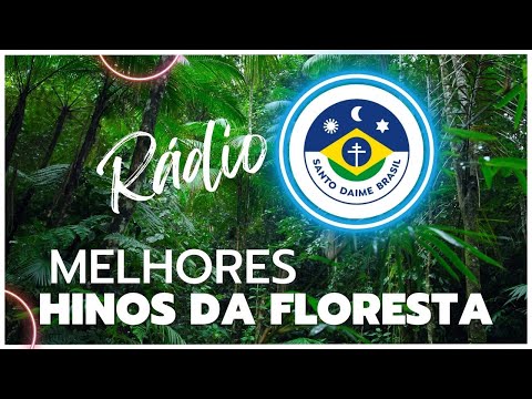 🎵🌟Rádio Santo Daime Brasil - Os melhores Hits da Floresta - ESTUDO FINO, ESTUDO FINO!)🌞