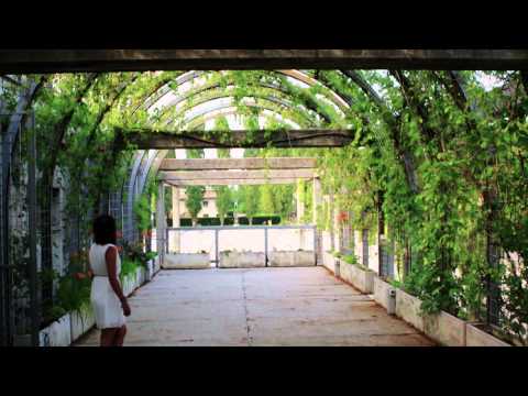 SIRUAN e ARMIN - UNICA