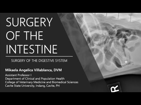 Lecture 8.1 Surgery of the Intestine