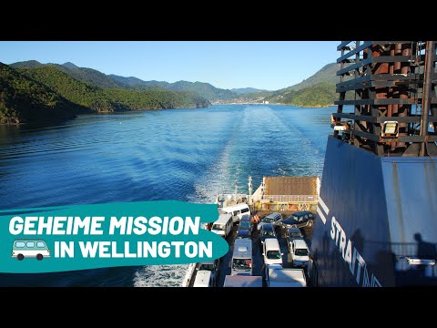 Wellington | Willkommen auf Neuseelands Nordinsel | WELTREISE VLOG #58