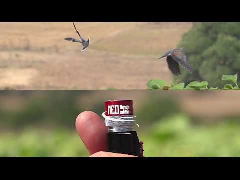 NEO 10.YIL / CY 20.YIL / LIMITED EDITION