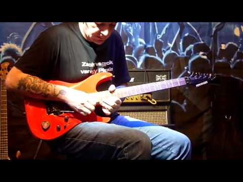 Vámos Zsolt - Hangfoglalás 2011 - Gary Moore - The Loner