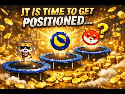 6 People Still Need to get Positioned... ⏳ #LUNC, #SHIB, #BNBTIGER, #BNBLION Vision