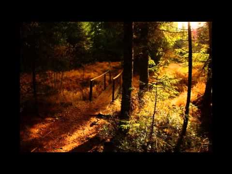 download lagu mp3 mp4 Befreiungsgebet, download lagu Befreiungsgebet gratis, unduh video klip Download Befreiungsgebet Mp3 dan Mp4 Viral Gratis
