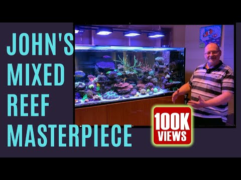 John's Mixed Reef Masterpiece!