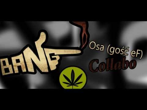 Osa (gość eF) - Collabo