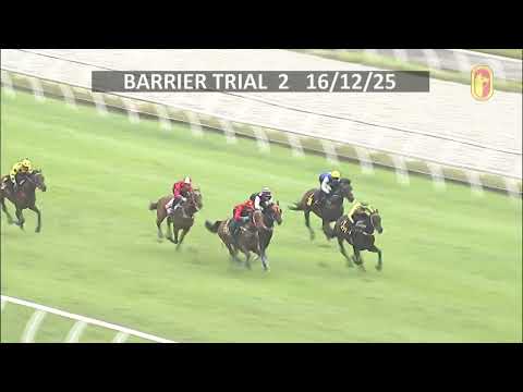 16 DEC 2025 BARRIER TRIAL 2