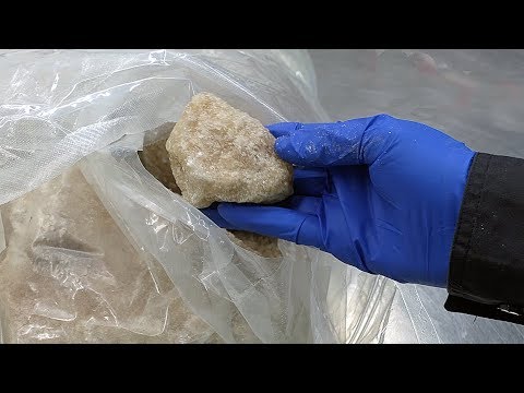 download lagu mp3 mp4 Rock Of Mdma, download lagu Rock Of Mdma gratis, unduh video klip Rock Of Mdma