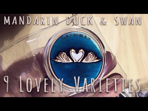 9 Rare Chinese Medals for NGC grading | Mandarin Duck and Swan Varieties