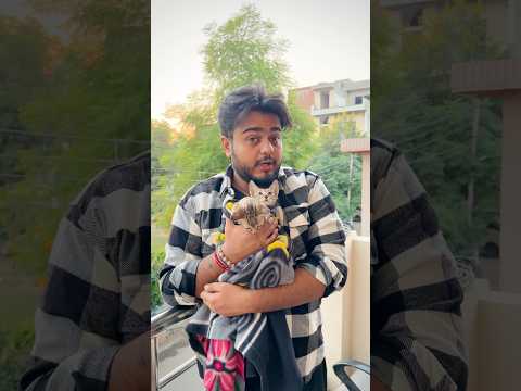 Cute Cats Same Dikhne Lagi ~ Sujal Thakral #shorts #ytshorts #youtubeshorts #funny #cat #cutecat