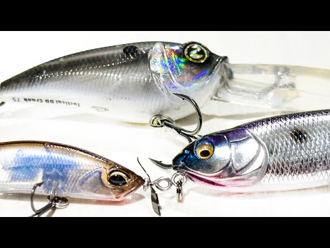 October Bass Fishing Tips! (Day On The Water Bass Fishing A Highland Reservoir)