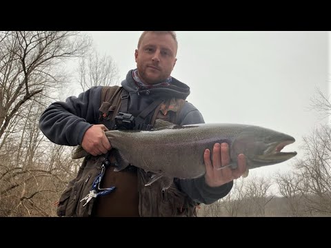 Michigan Steelhead Fishing ( Winter 2020 ) HUGE Steelhead bobber downs!